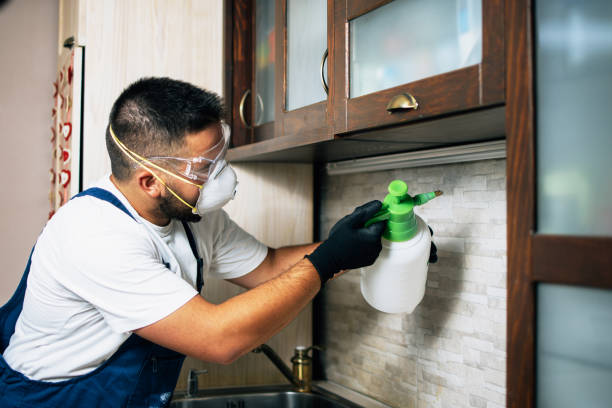 Best Local Pest Control Services  in Brownsville, OR