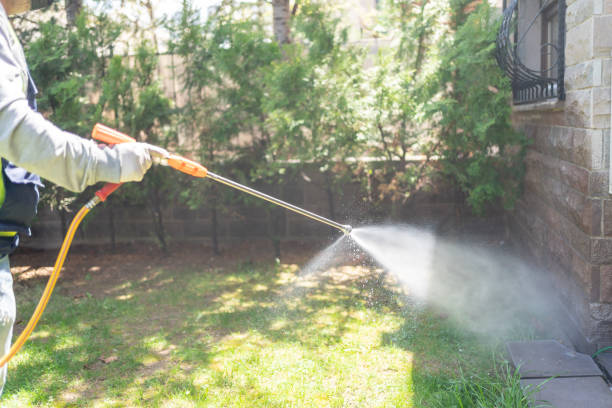 Professional Pest Control in Brownsville, OR